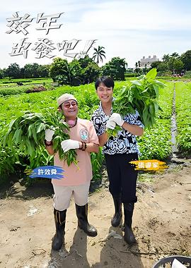 别再被盈利套路杜撰下海拍av